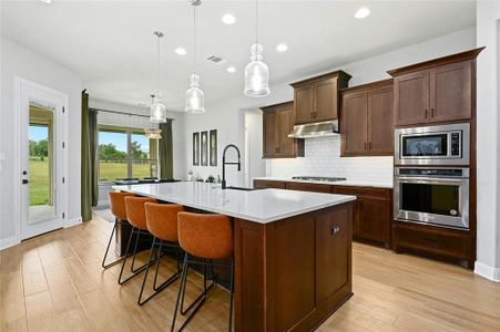 New construction Single-Family house 412 Houston Loop, Liberty Hill, TX 78642 - photo 9 9