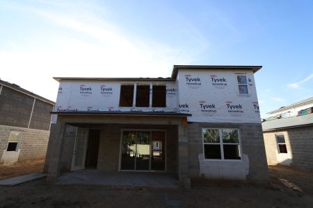 New construction Single-Family house 12114 Hilltop Farms Drive, Dade City, FL 33525 Alenza- photo 45 45