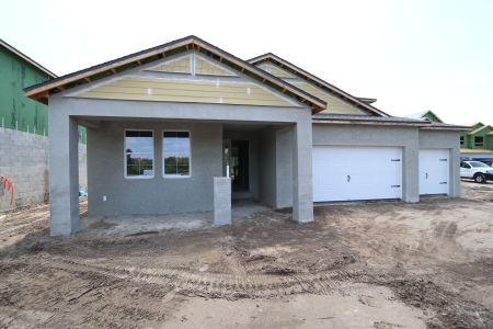 New construction Single-Family house 10609 New Morning Drive, Tampa, FL 33647 Corina  III Bonus- photo 39 39