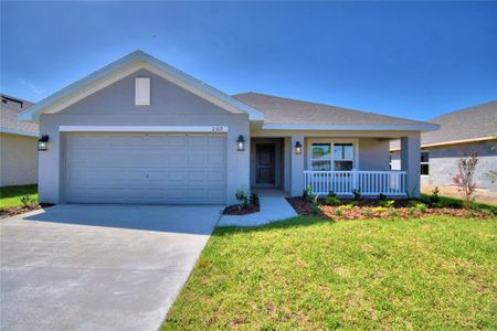 New construction Single-Family house 1261 Tagliamento Lane, Haines City, FL 33844 - photo 0 0