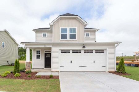New construction Single-Family house 776 Spring Crest Drive, Angier, NC 27501 - photo 52