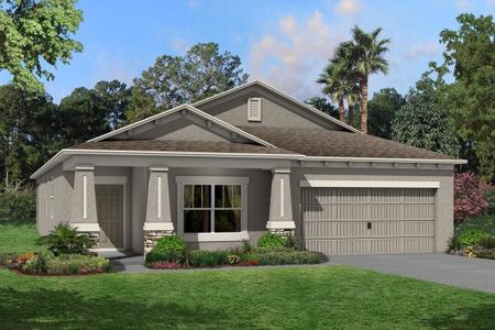 New construction Single-Family house 10805 Rolling Moss Road, Tampa, FL 33647 - photo 0 0