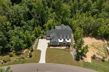 New construction Single-Family house 175 Stonecrest Way, Pittsboro, NC 27312 - photo 69 69