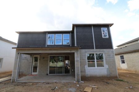 New construction Single-Family house 12114 Hilltop Farms Drive, Dade City, FL 33525 Alenza- photo 87 87