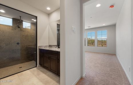 New construction Single-Family house 13796 W Forest Pleasant Place, Peoria, AZ 85383 - photo 14 14