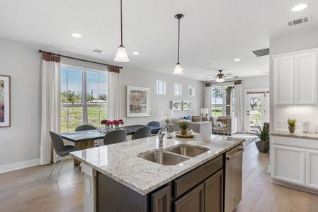 Villas at Rowe by Empire Communities in Pflugerville - photo 29 29