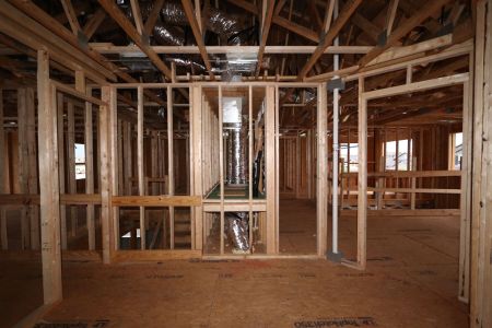 New construction Single-Family house 3024 King Fern Drive, Wimauma, FL 33598 Mira Lago- photo 36 36