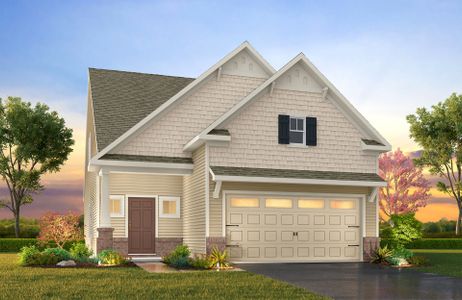 New construction Single-Family house 15 Tanglewood Pl, Angier, NC 27501 - photo 10