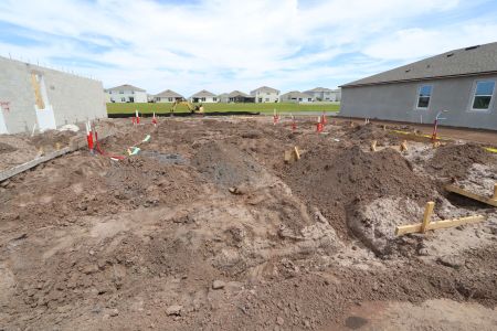New construction Single-Family house 2956 Marine Grass Drive, Wimauma, FL 33598 Alenza- photo 6 6