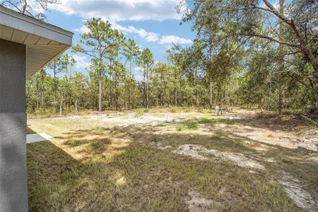 New construction Single-Family house 117 Nw Sparrow Road, Dunnellon, FL 34431 - photo 54 54