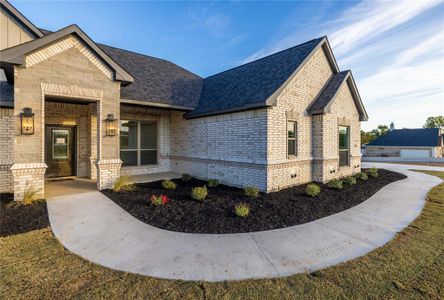 New construction Single-Family house 7000 Ranch View Place, Springtown, TX 76082 - photo 3 3