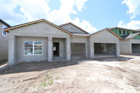 New construction Single-Family house 32568 Sapna Chime Drive, Wesley Chapel, FL 33545 Barcello- photo 43 43