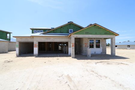 New construction Single-Family house 2466 Clary Sage Drive, Spring Hill, FL 34609 Corina  III Bonus- photo 25 25