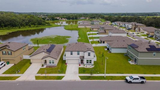 New construction Single-Family house 35877 Buttonweed Trl, Zephyrhills, FL 33541 - photo 34 34