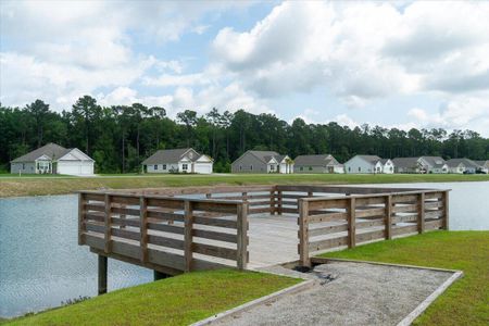 New construction Single-Family house 1250 Wading Point Boulevard, Huger, SC 29450 Belfort- photo 41 41
