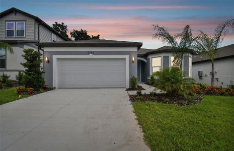 New construction Single-Family house 2742 Dolores Home Avenue, Valrico, FL 33594 Medina- photo 21 21