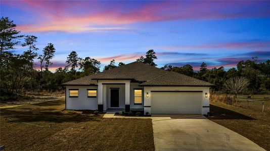 New construction Single-Family house 7935 Sw 128Th Street Road, Ocala, FL 34473 - photo 0