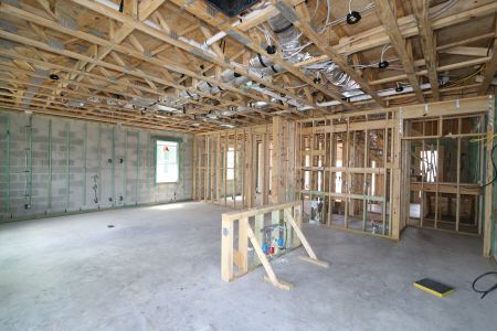 New construction Single-Family house 2852 Misty Marble Drive, Zephyrhills, FL 33540 Castellana- photo 30 30