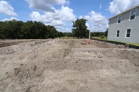 New construction Single-Family house 9635 Crescent Ray Drive, Wesley Chapel, FL 33545 Mira Lago- photo 5 5