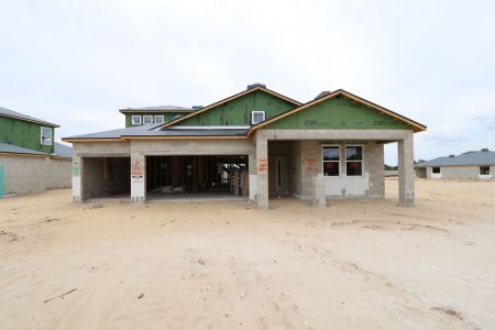 New construction Single-Family house 2466 Clary Sage Drive, Spring Hill, FL 34609 Corina  III Bonus- photo 40 40