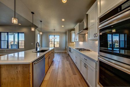 New construction Single-Family house 8412 Cromwell Circle, Windsor, CO 80528 - photo 35 35