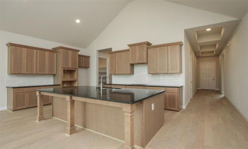 New construction Single-Family house 2401 Seaglass Terrace Drive, Katy, TX 77493 Vanderbilt- photo 11 11