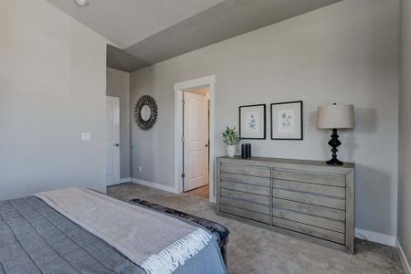 New construction Townhouse house 827 Schlagel Street, Fort Collins, CO 80524 - photo 31 31