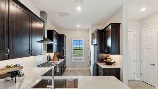 New construction Single-Family house 4927 East Village Drive, Scottsdale, AZ 85254 - photo 9 9