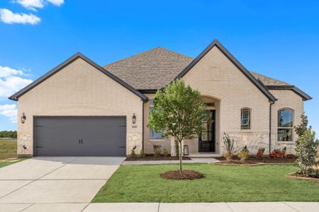 New construction Single-Family house 3201 Agnew Street, Celina, TX 75009 - photo 0