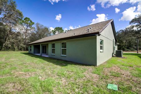 New construction Single-Family house 9020 N Gilovu Drive, Citrus Springs, FL 34433 - photo 38 38
