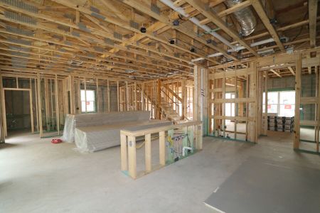 New construction Single-Family house 12114 Hilltop Farms Drive, Dade City, FL 33525 Alenza- photo 67 67