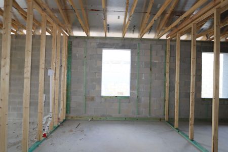 New construction Single-Family house 31843 Sapna Chime Drive, Wesley Chapel, FL 33545 Picasso- photo 20 20