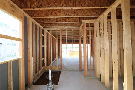 New construction Single-Family house 796 Faith Bud Lane, Lavon, TX 75166 Malmo- photo 17 17