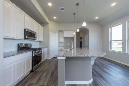 Gruene Villages: 40ft. lots by Highland Homes in New Braunfels - photo 26 26