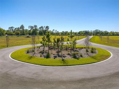 New construction Single-Family house 14294 Pine Straw Court, Dover, FL 33527 - photo 20 20