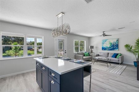 New construction Single-Family house 985 7Th Street N, Safety Harbor, FL 34695 - photo 13 13