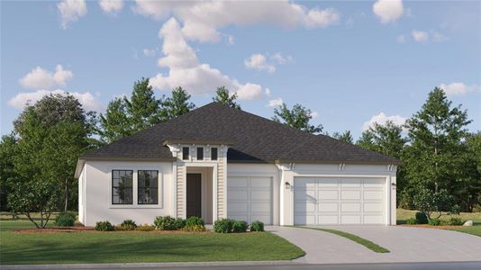 New construction Single-Family house 12576 Colonnade Vista Drive, Riverview, FL 33579 Blackburn- photo 0 0