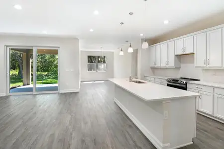 New construction Single-Family house 5361 N Peppermint Drive, Beverly Hills, FL 34465 - photo 2 2