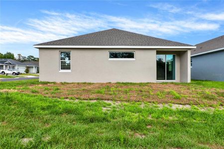 New construction Single-Family house 536 Ellie Court, Apopka, FL 32703 - photo 36 36