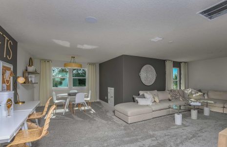 New construction Single-Family house Coral Grand, Simmons Ranch Court, Riverview, FL 33578 - photo
