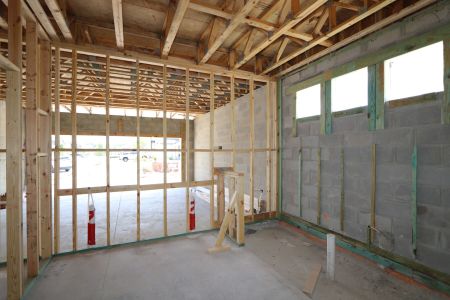 New construction Single-Family house 2530 Sunny Pebble Loop, Zephyrhills, FL 33540 Salinas- photo 10 10