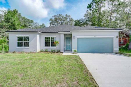 New construction Single-Family house 8733 Southeast Highway 42, Summerfield, FL 34491 - photo 3 3