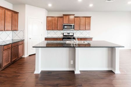 New construction Single-Family house 4815 Corona Australis, San Antonio, TX 78245 - photo 5 5