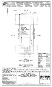 New construction Single-Family house 16815 Bristle Cone Way, Conroe, TX 77302 Wildflower- photo 2 2