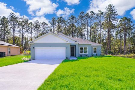 New construction Single-Family house 6920 Sw 132Nd Place, Ocala, FL 34473 - photo 0