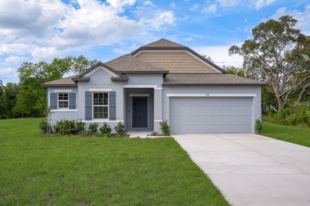 New construction Single-Family house 2009 Aster Way, Poinciana, FL 34759 - photo 0