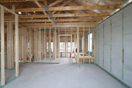 New construction Single-Family house 5082 Bromeliad Avenue, Wimauma, FL 33598 Barcello- photo 13 13