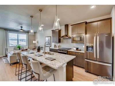 New construction Townhouse house 749 Pokeweed Ln, Fort Collins, CO 80524 - photo 6 6
