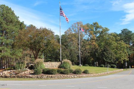 New construction Single-Family house 167 Black Cloud Drive, Louisburg, NC 27549 - photo 40 40