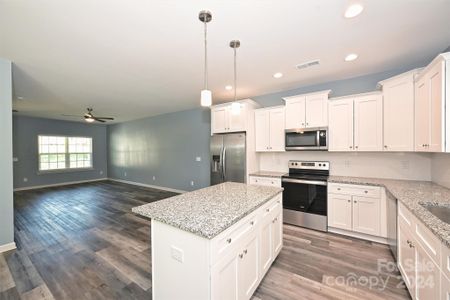 New construction Single-Family house 317 Bell Street, Mount Holly, NC 28120 - photo 10 10